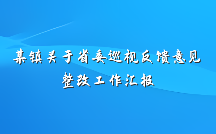 某镇关于省委巡视反馈意见整改工作汇报