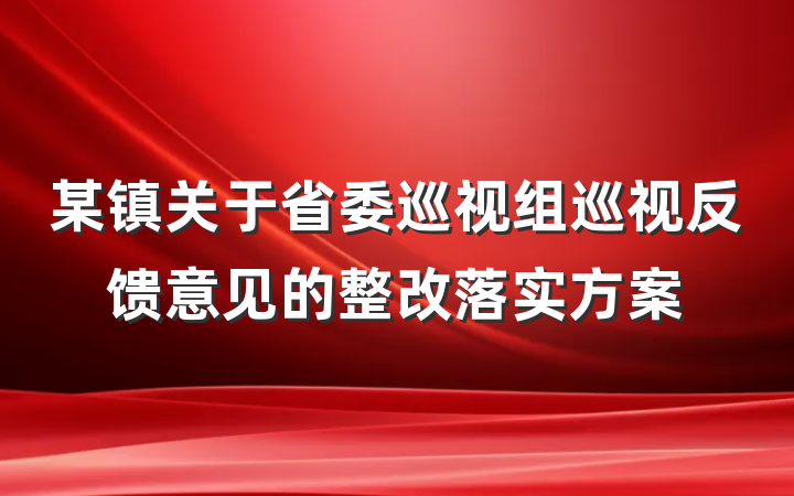 某镇关于省委巡视组巡视反馈意见的整改落实方案