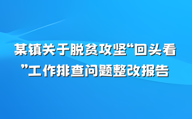 某镇关于脱贫攻坚“回头看”工作排查问题整改报告