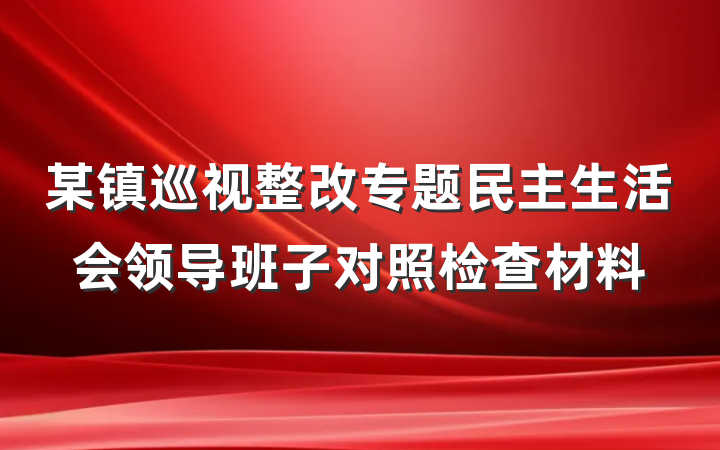 某镇巡视整改专题民主生活会领导班子对照检查材料