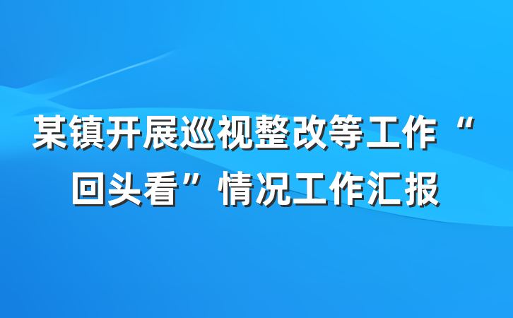 某镇开展巡视整改等工作“回头看”情况工作汇报