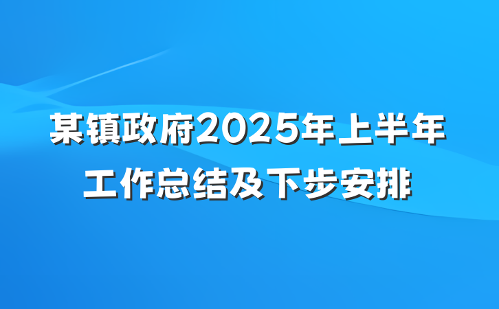 某镇政府2025年上半年工作总结及下步安排