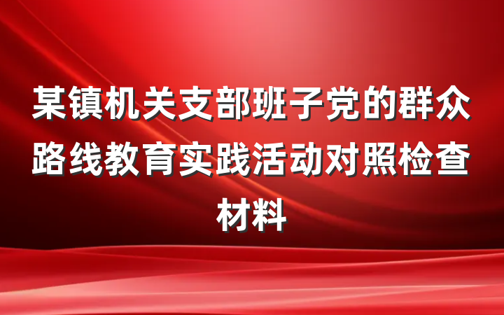 某镇机关支部班子党的群众路线教育实践活动对照检查材料