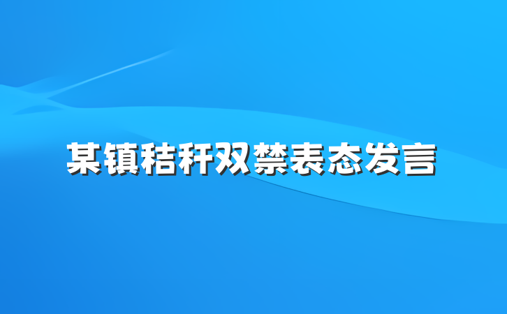 某镇秸秆双禁表态发言