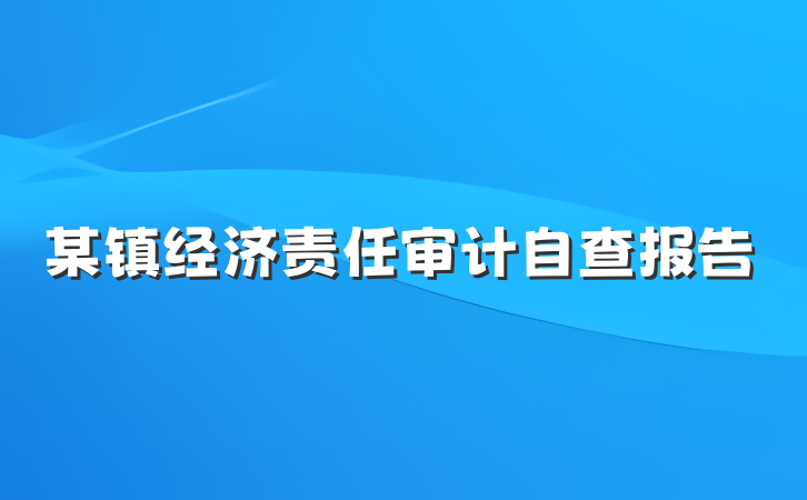 某镇经济责任审计自查报告