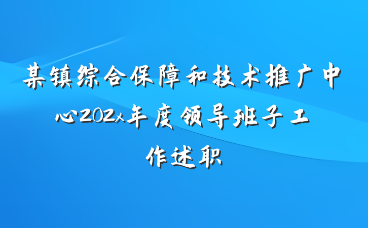 某镇综合保障和技术推广中心202x年度领导班子工作述职