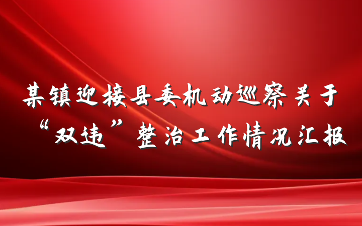 某镇迎接县委机动巡察关于“双违”整治工作情况汇报