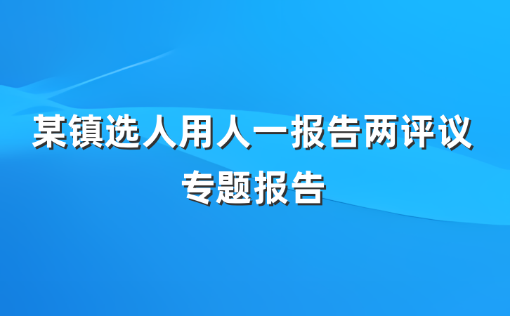 某镇选人用人一报告两评议专题报告
