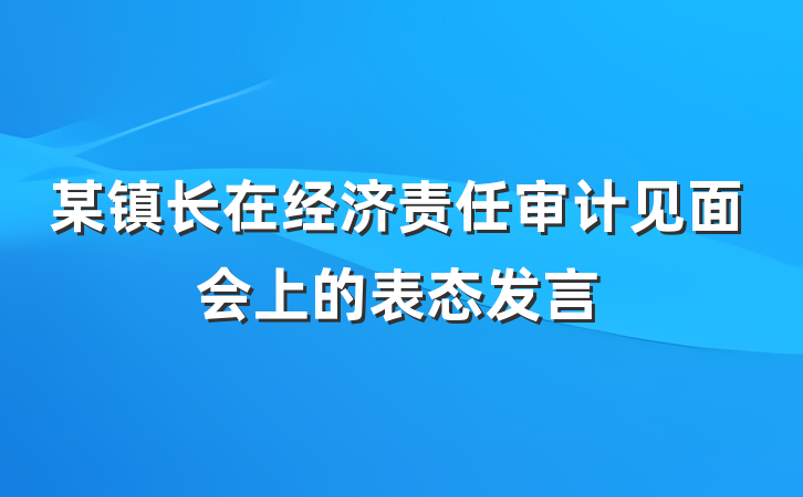 某镇长在经济责任审计见面会上的表态发言