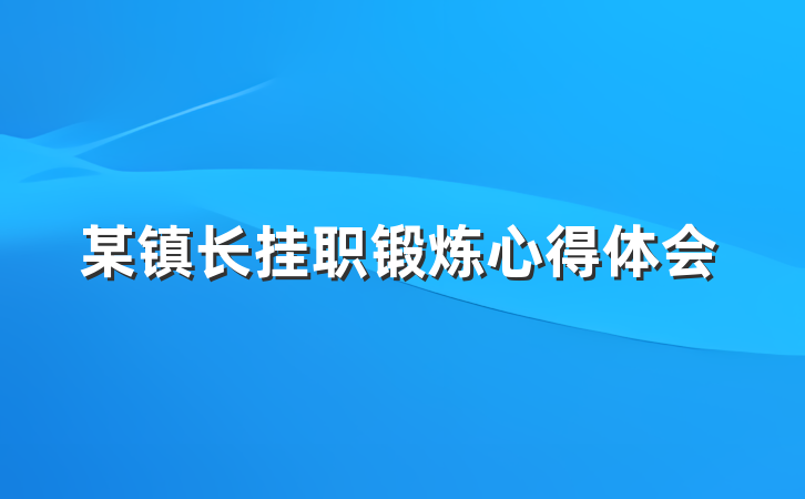 某镇长挂职锻炼心得体会