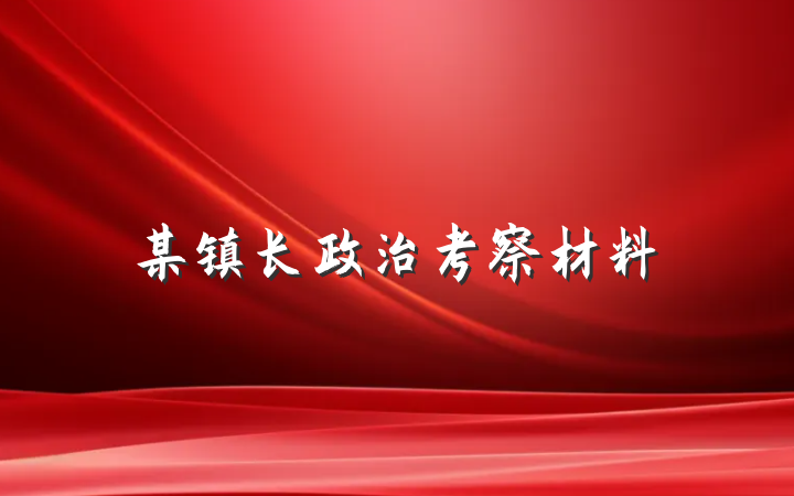 某镇长政治考察材料