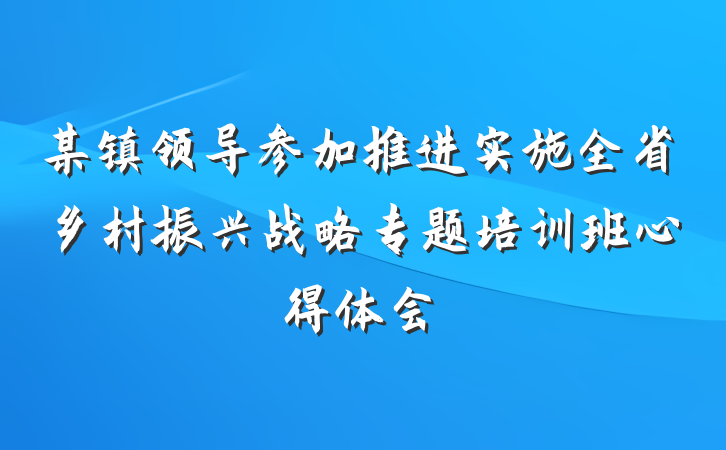 某镇领导参加推进实施全省乡村振兴战略专题培训班心得体会