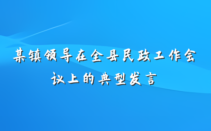 某镇领导在全县民政工作会议上的典型发言
