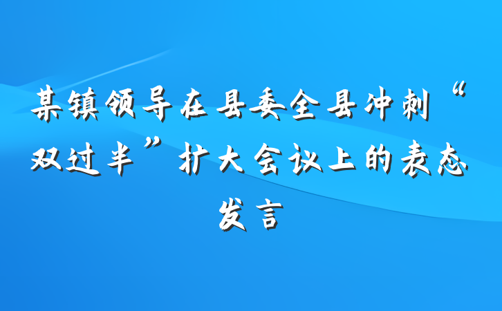 某镇领导在县委全县冲刺“双过半”扩大会议上的表态发言