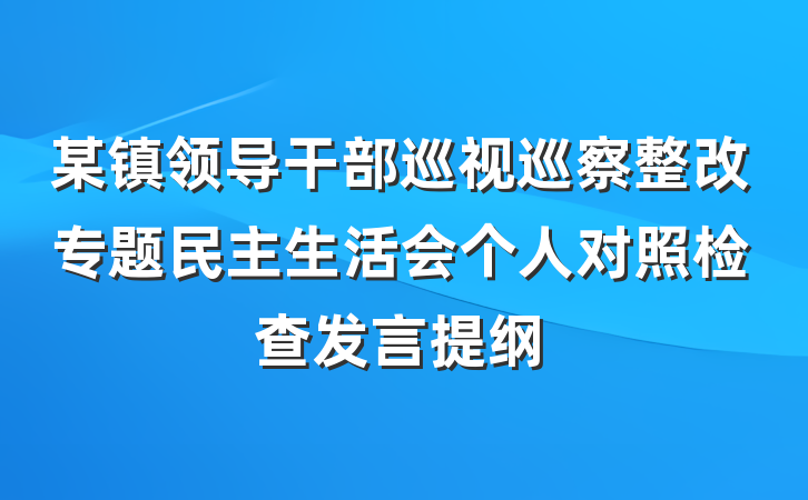 某镇领导干部巡视巡察整改专题民主生活会个人对照检查发言提纲