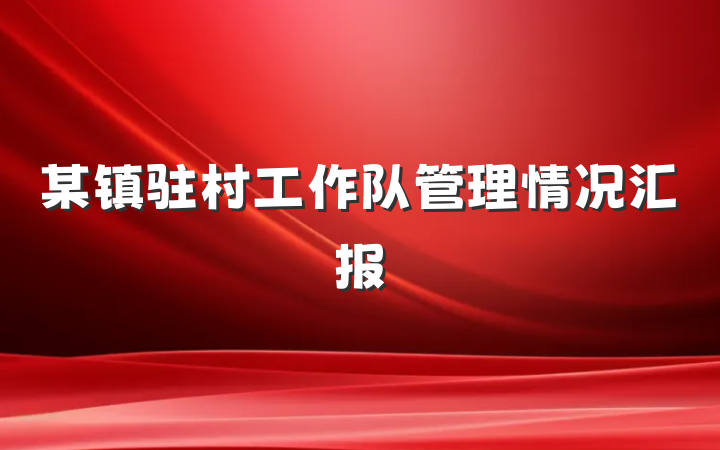 某镇驻村工作队管理情况汇报