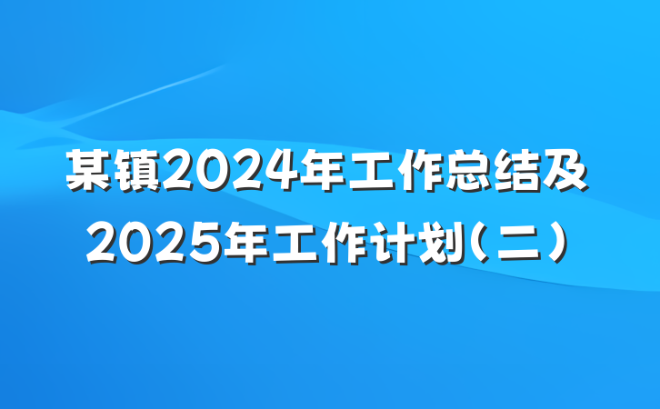 某镇2024年工作总结及2025年工作计划（二）