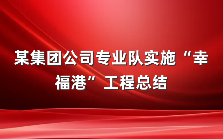 某集团公司专业队实施“幸福港”工程总结
