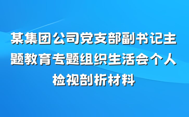 某集团公司党支部副书记主题教育专题组织生活会个人检视剖析材料