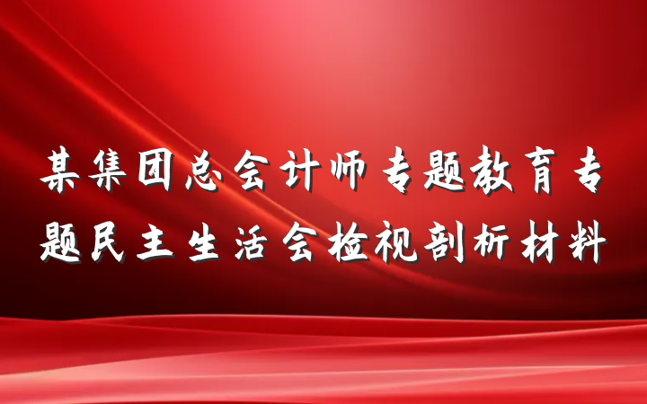 某集团总会计师专题教育专题民主生活会检视剖析材料