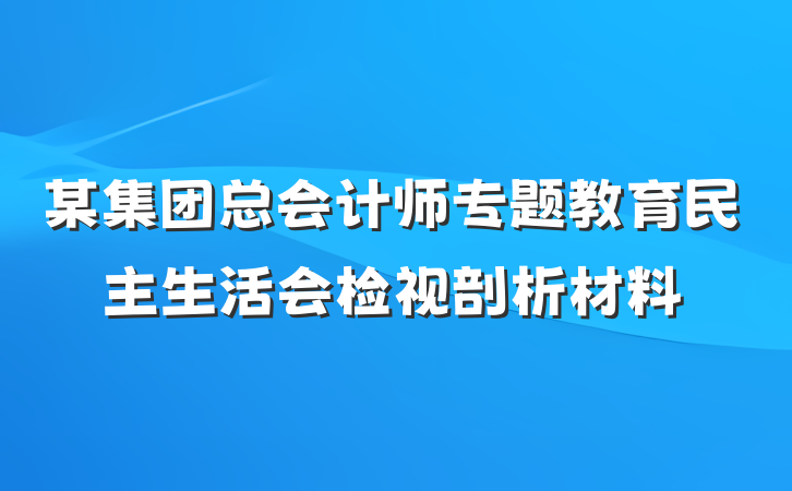 某集团总会计师专题教育民主生活会检视剖析材料