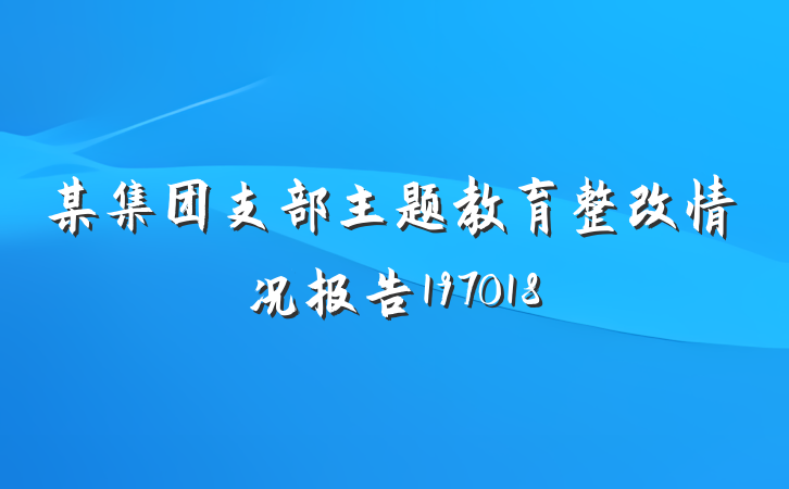 某集团支部主题教育整改情况报告197018
