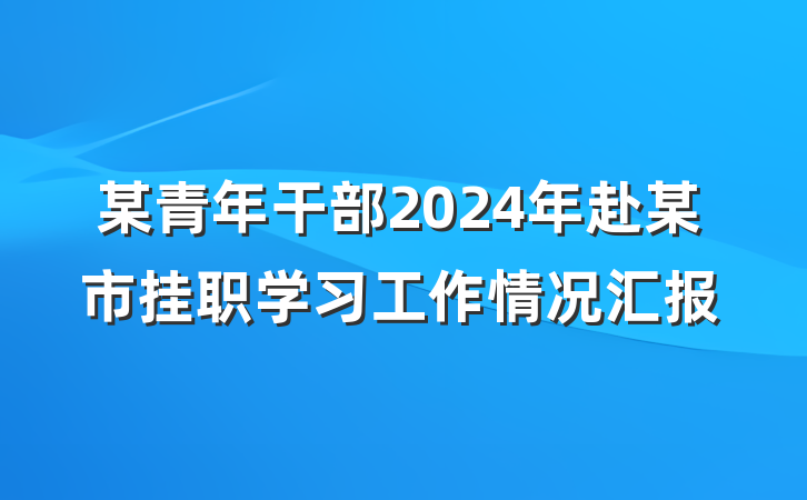 某青年干部2024年赴某市挂职学习工作情况汇报