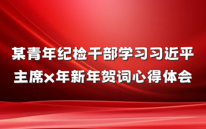 某青年纪检干部学习习近平主席x年新年贺词心得体会