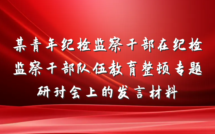 某青年纪检监察干部在纪检监察干部队伍教育整顿专题研讨会上的发言材料