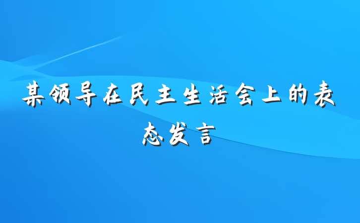 某领导在民主生活会上的表态发言