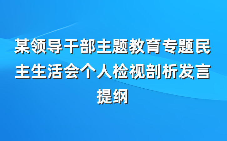 某领导干部主题教育专题民主生活会个人检视剖析发言提纲