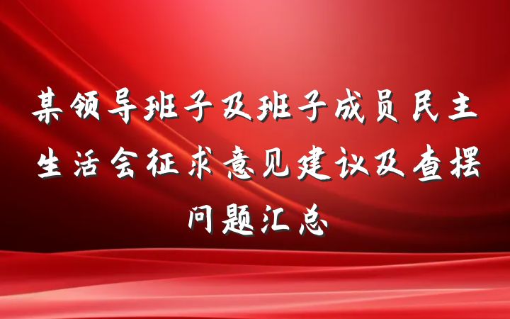 某领导班子及班子成员民主生活会征求意见建议及查摆问题汇总