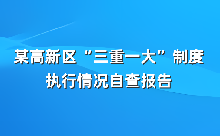 某高新区“三重一大”制度执行情况自查报告