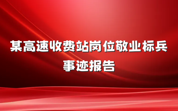 某高速收费站岗位敬业标兵事迹报告
