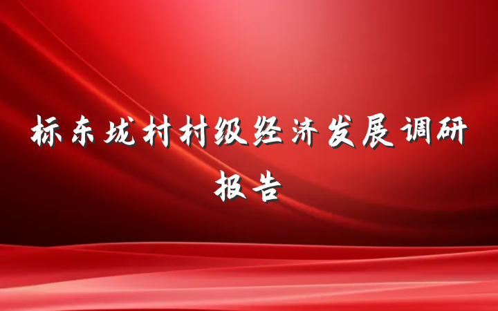 标东垅村村级经济发展调研报告