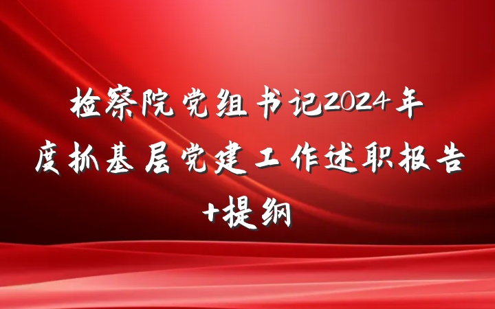 检察院党组书记2024年度抓基层党建工作述职报告 提纲