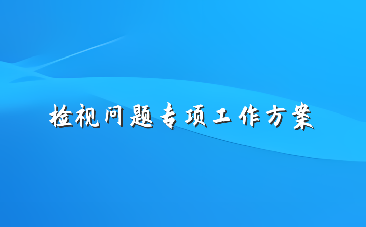 检视问题专项工作方案