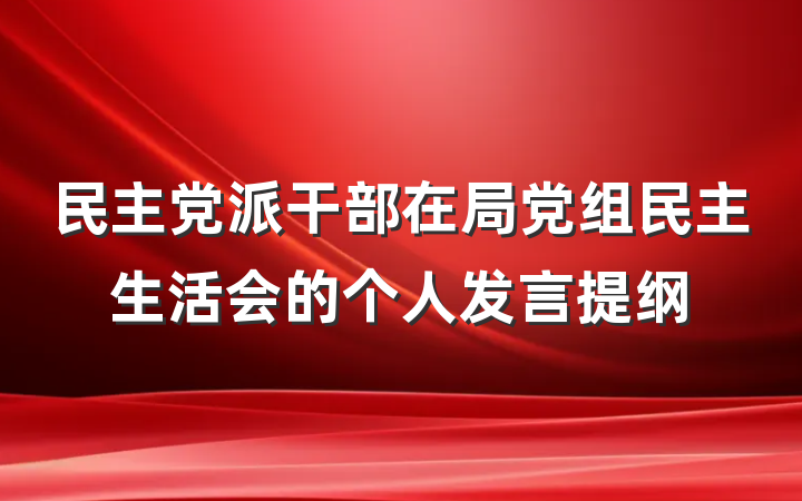 民主党派干部在局党组民主生活会的个人发言提纲