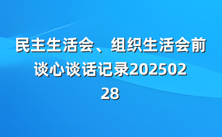 民主生活会、组织生活会前谈心谈话记录20250228