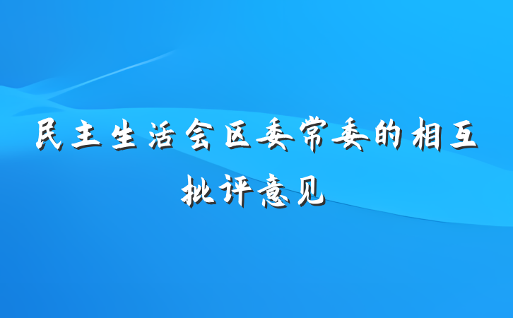 民主生活会区委常委的相互批评意见