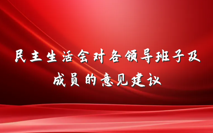 民主生活会对各领导班子及成员的意见建议