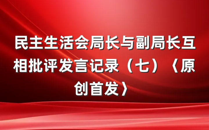 民主生活会局长与副局长互相批评发言记录（七）〈原创首发〉
