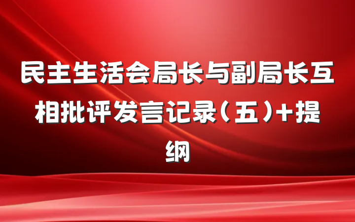 民主生活会局长与副局长互相批评发言记录（五） 提纲