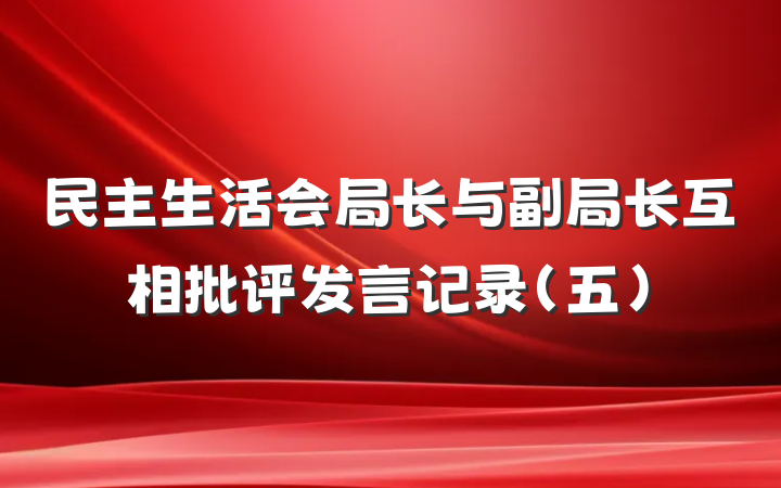 民主生活会局长与副局长互相批评发言记录(五)