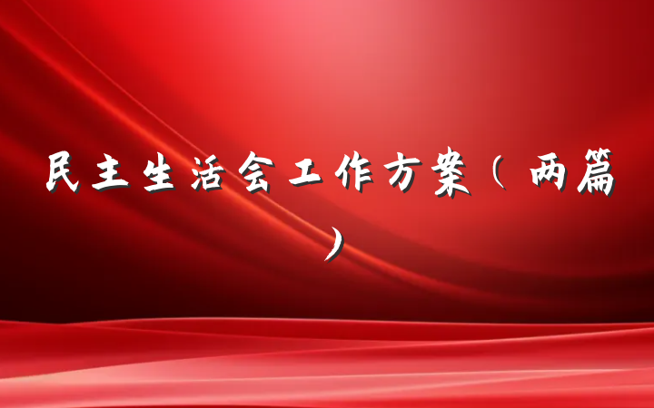 民主生活会工作方案（两篇）