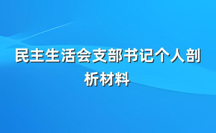 民主生活会支部书记个人剖析材料