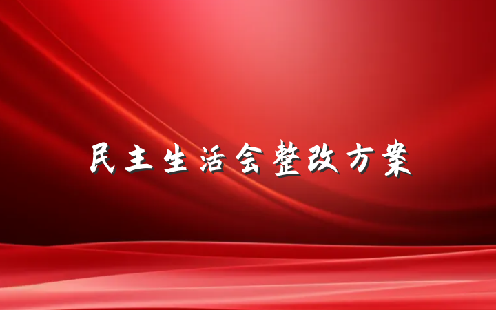 民主生活会整改方案