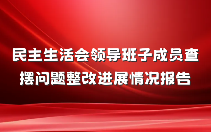 民主生活会领导班子成员查摆问题整改进展情况报告
