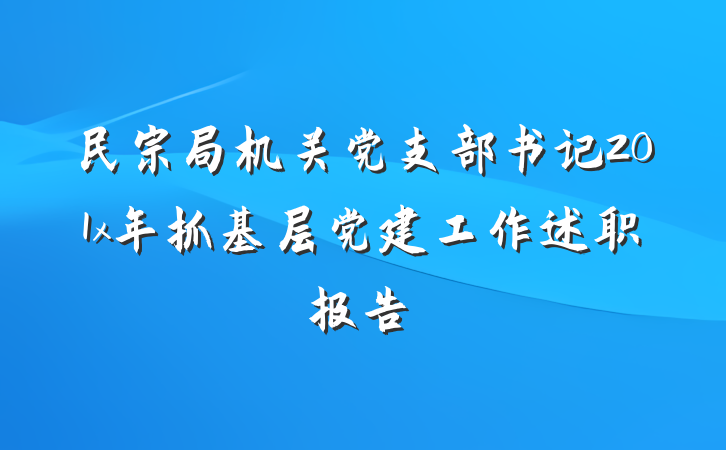 民宗局机关党支部书记201x年抓基层党建工作述职报告