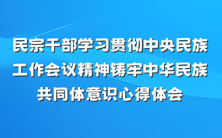 民宗干部学习贯彻中央民族工作会议精神铸牢中华民族共同体意识心得体会